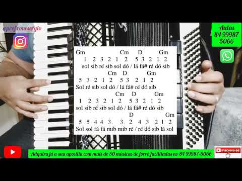 Amor De Doído - Trio Nordestino