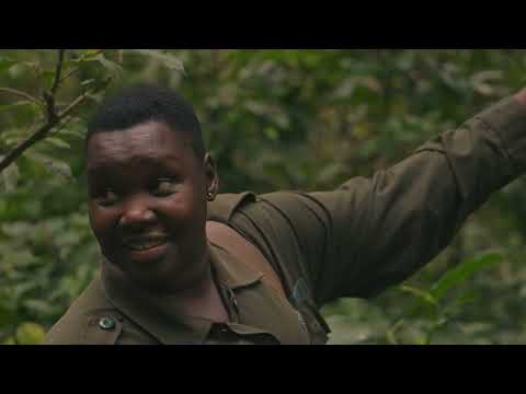 Volcanoes Safaris 25 Year Anniversary Film Teaser