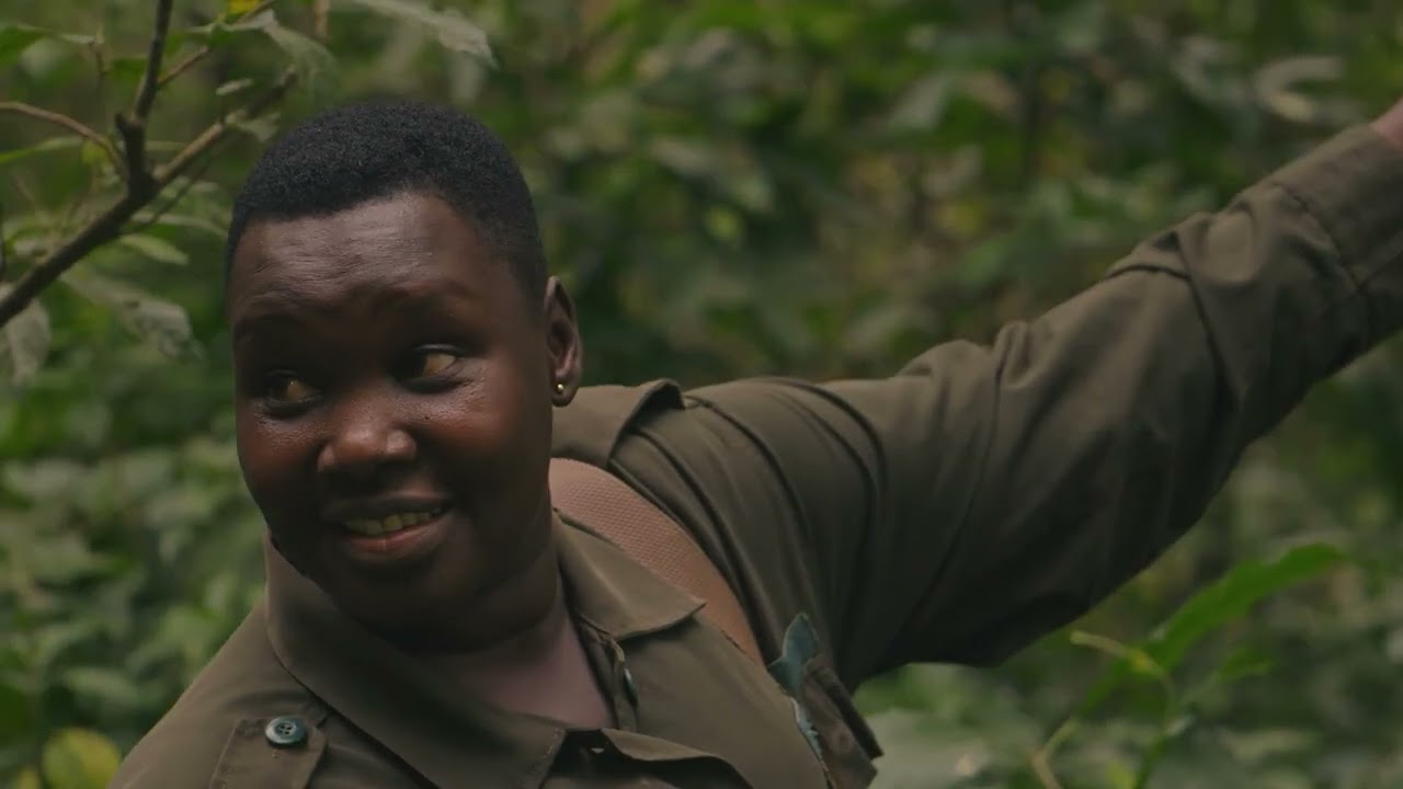 Volcanoes Safaris 25 Year Anniversary Film Teaser