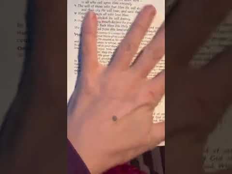 Mincha! Afternoon prayers IN ENGLISH