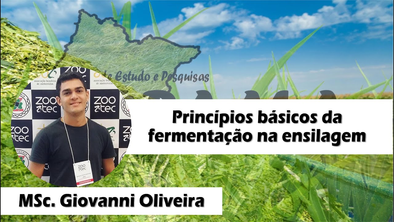 Princípios básicos da fermentação na ensilagem