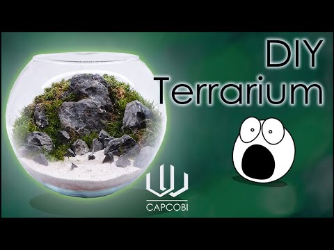 Zimmergarten - DIY Terrarium | CapCobi