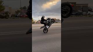 Download lagu Extra extra  #wheelie #wheelies #biker #zx6r #motorcycle #kawasaki mp3