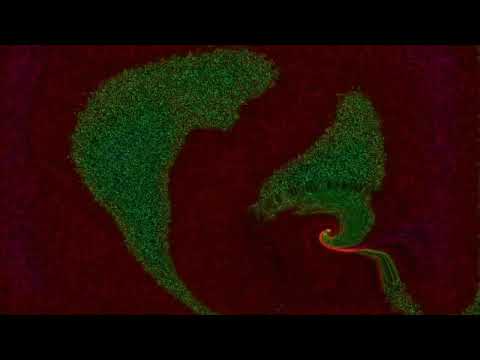 The Hard Dock - 16th March 1996 (DJ Reflex & MC Dany