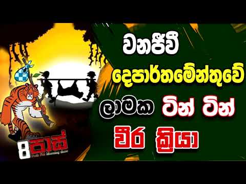 NETH FM 8 PASS JOKES 2022.08.09 | වනජීවී දෙපාර්තමේන්තුවේ ලාමක ටින් ටින් වීර ක්‍රියා