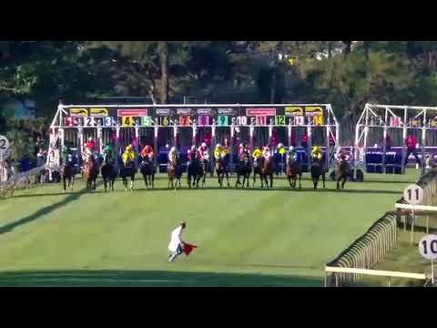 2022.06.04 Golden Horse Sprint (RSA) - Alesian Chief