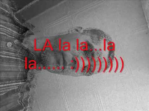 IL IN -  fara t- euri in fata(mixtape)