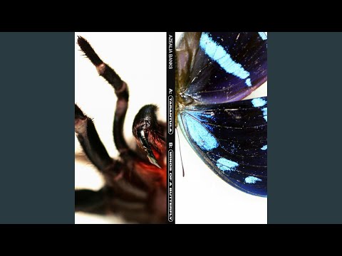 Video thumbnail for Wings of a Butterfly