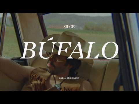 Búfalo - Siloé