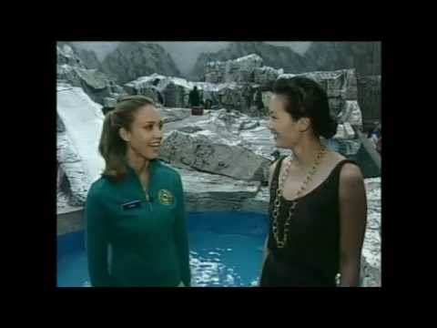 Olivia Cheng Entertainment Tonight Highlights