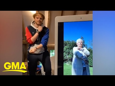 Dame Judi Dench busts a move with her grandson for an epic TikTok dance challenge l GMA Digital