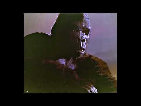 𝙰𝚌𝚒𝚍 𝙰𝚛𝚊𝚋 - 𝚈𝚊 𝙼𝚊𝚑𝚕𝚊 [𝙨𝙡𝙤𝙬𝙚𝙙 + 𝙧𝙚𝙫𝙚𝙧𝙗]