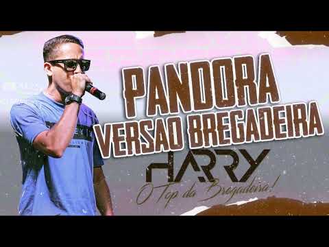 PANDORA  VERSÃO BREGADEIRA ÉO HARRY O TOP DA BREGADEIRA 👌 🔥