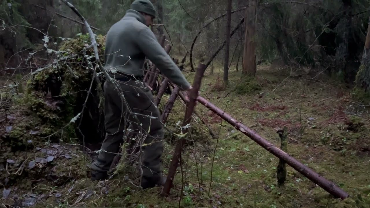 深い森で「力を与えるキノコ」を探す旅。ついに見つけた瞬間。