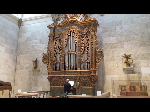 Italian Baroque Organ ca. 1770, Memorial Art Gallery, U. of Rochester, NY