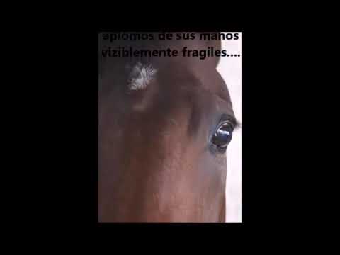 Homenaje a Invasor! emocionante