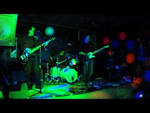 Vi la luz-Los Gansos Salvajes