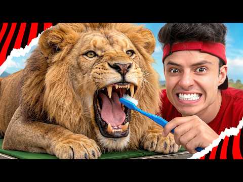 24 HORAS CUIDANDO DE ANIMAIS DE SAFARI!