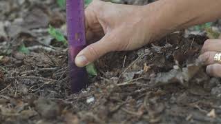 College of Natural Resources | Environmental Science