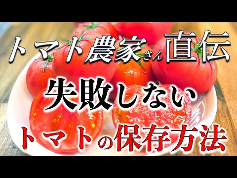 トマトを正しく保存する: 最良のヒント 植物