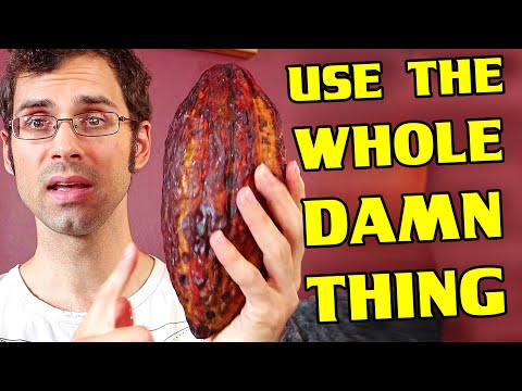 CACAO FRUIT : How to use EVERY Part of it (POD, Seeds, Shell and Fruit) - Weird Fruit Explorer