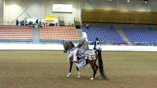 preview picture of video 'Region 3 Arabian Horse Show, July 2011 Native Costume Class'
