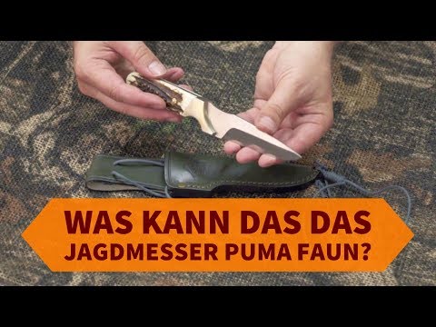 PUMA faun: Wie gut ist das Jagdmesser aus Solingen?