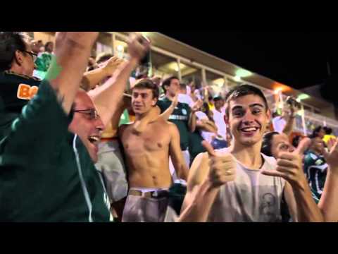 Gol da arquibancada! Palmeiras 1 x 0 Penapolense   Paulistão 2014