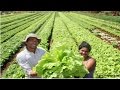 Curso Administração da Pequena Empresa Rural