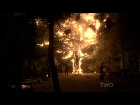 Flashback Scene 7: The Consequences (The Vampire Diaries S03E08 Oridinary People)