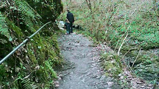 preview picture of video 'Lydford Gorge Walk 2006'