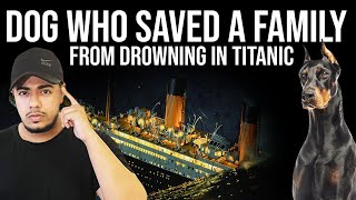 Dog who Saved a Family from Drowning in TITANIC | Real Life Story - Titanic Edition
