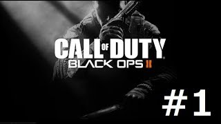 【実況】日頃の鬱憤を晴らす：CODBO2#1