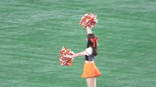 VENUS 「巨人：チアリーダー」