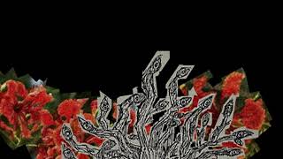 Cover art for Orange Trees