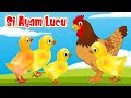 Si Ayam Lucu ️ Lagu Anak Ayam Kecil ️ Lagu Anak Balita Indonesia