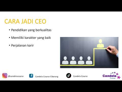 Cita - Cita Jadi CEO Harus Masuk Jurusan Apa?