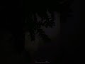 Munbe Vaa Gramophone Bites Lofi Music Indianlofi Lofivibes Feel The Music Feel Love