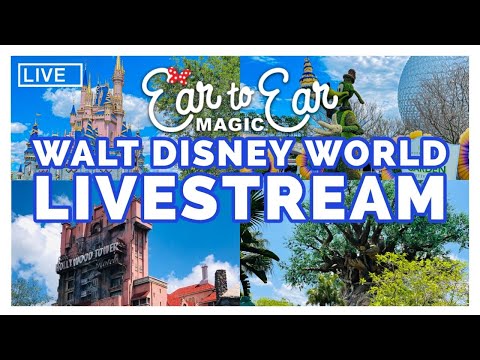 Live webcam of Ear to Ear Magic