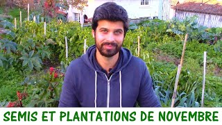 Click here to play the video