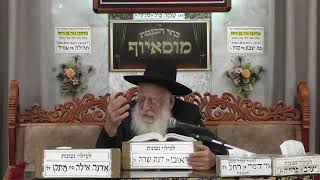 הרב יוסף חבה | הלכות בן איש חי | מוסאיוף (בית הכנסת מוסאיוף - ערוץ חדש) - התמונה מוצגת ישירות מתוך אתר האינטרנט יוטיוב. זכויות היוצרים בתמונה שייכות ליוצרה. קישור קרדיט למקור התוכן נמצא בתוך דף הסרטון