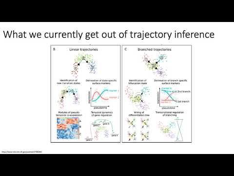 MCB 182 Lecture 9.13 - scRNA-seq applications (trajectory inference, visualization)