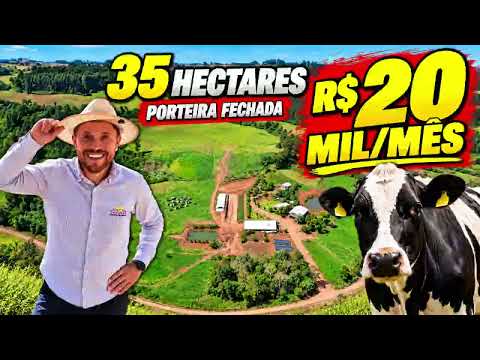 Granja porteira fechada  35 hectares pronta pro Leite rende R$ 20 mil mês 
