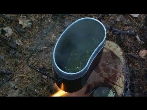 Fichten- oder Kiefernnadeltee? №009