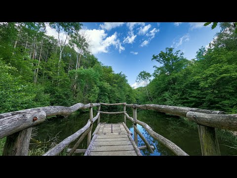Podyjí National Park on bike