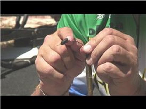 Bass Fishing : How to Bass Fish With Plastic Worms