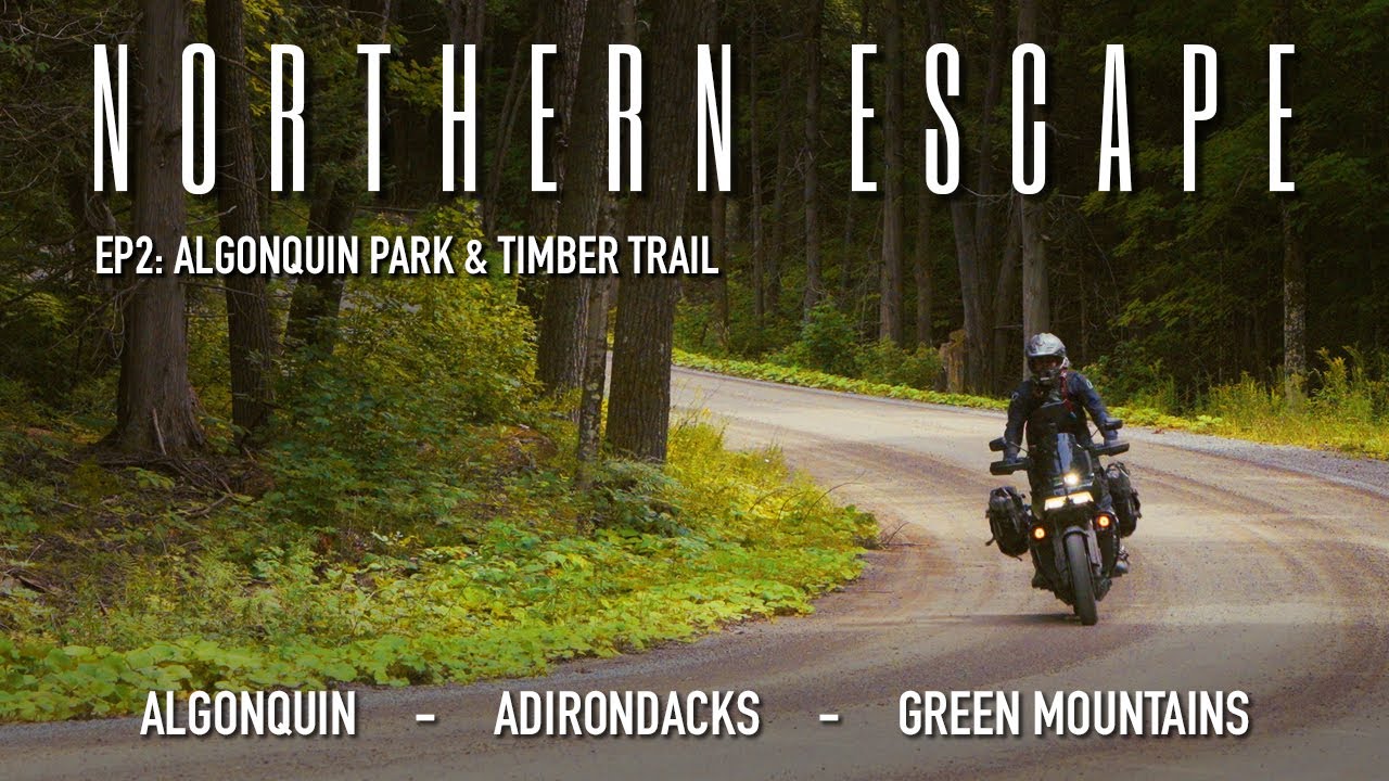 Highway 60 through Algonquin Park