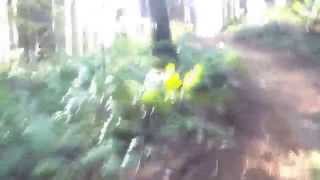 preview picture of video 'Black Rock Oregon bonsai trail'