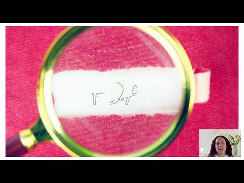 Video Blog