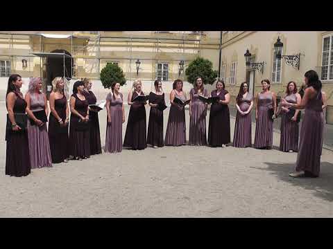 Divinum Wallachian Choir - Svitaj, Bože svitaj